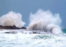 هشدار سازمان هواشناسی برای مواج بودن سواحل کیش در روزهای آتی